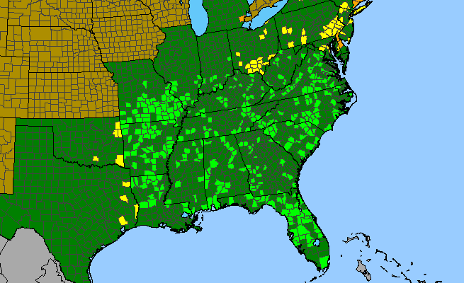 The range of Phaseolus polystachios